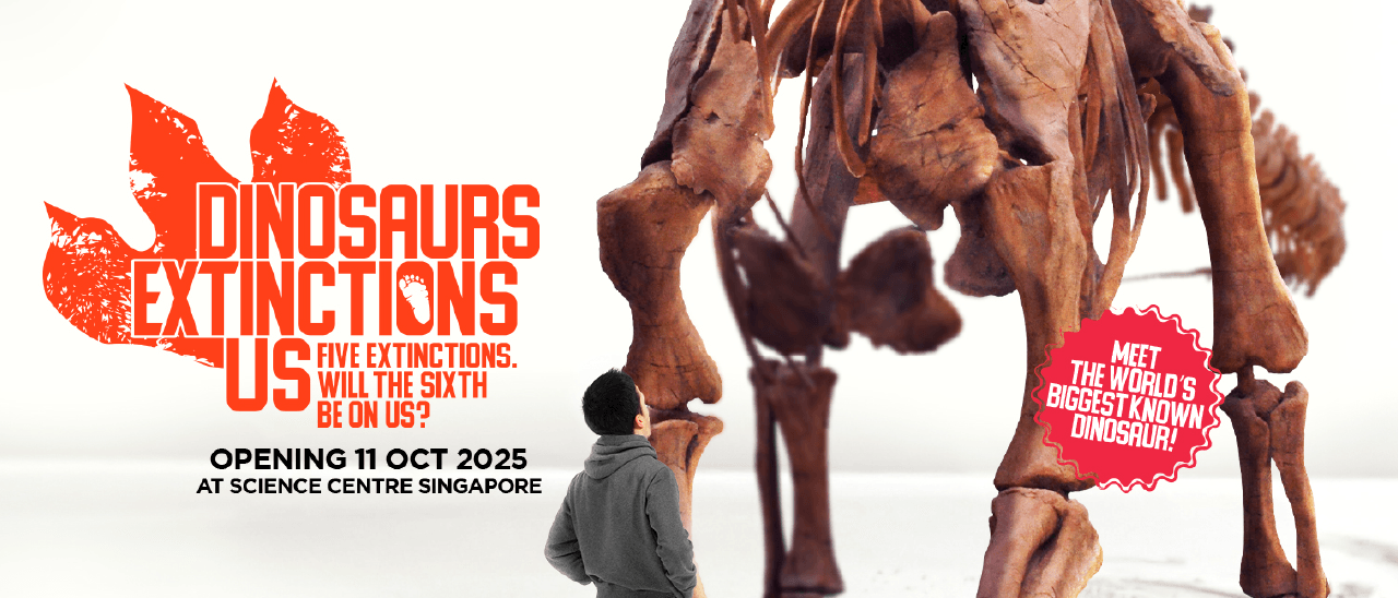 3.Dinosaurs Extinctions@2x.png