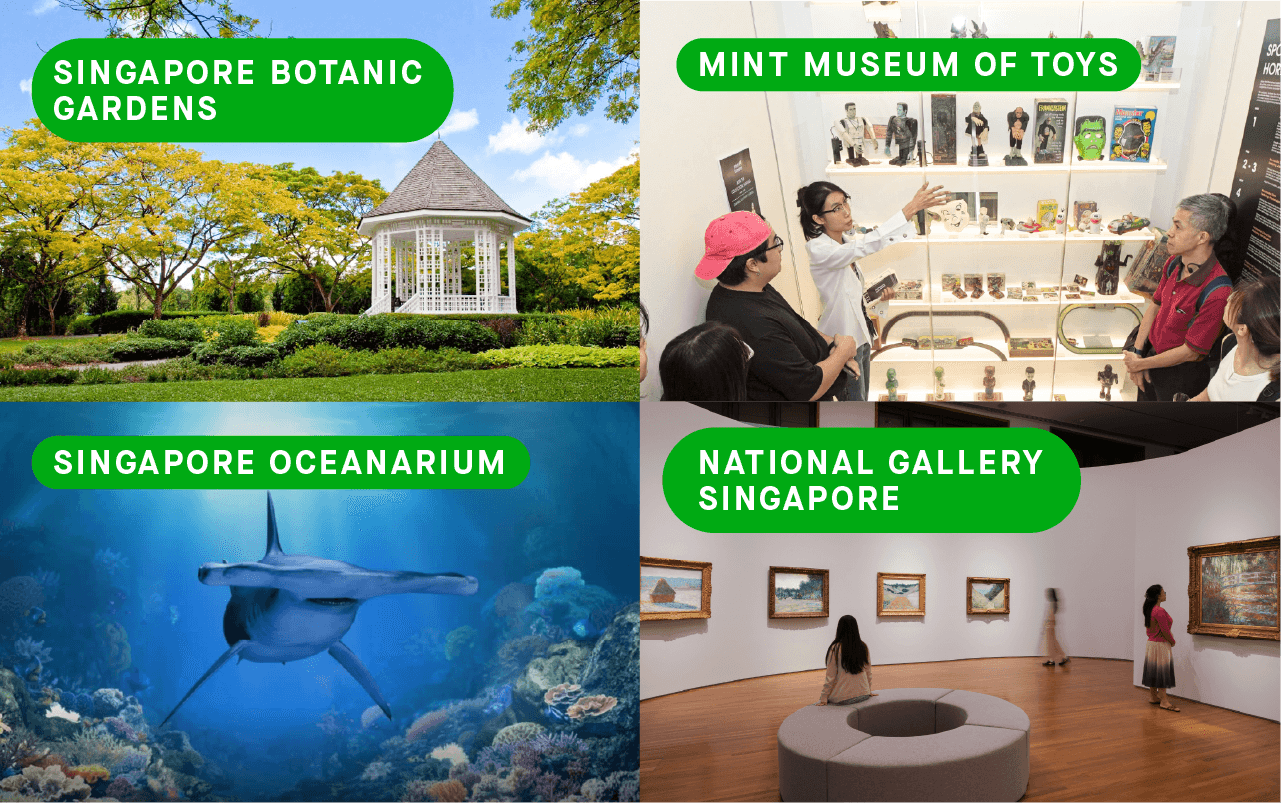 3. PLAY_content@2x.png