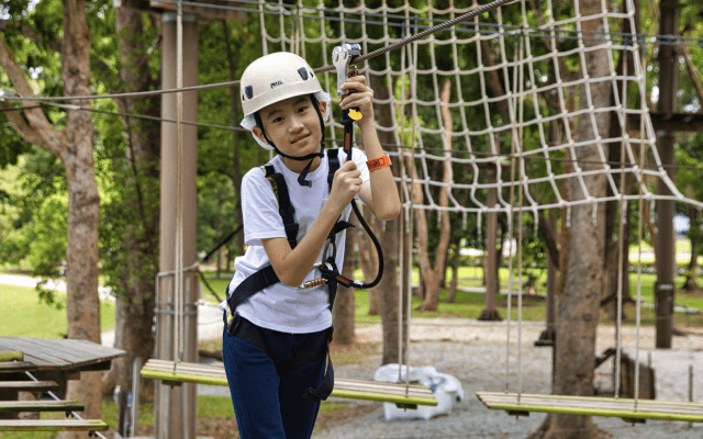 Tree top course at Forest Adventure