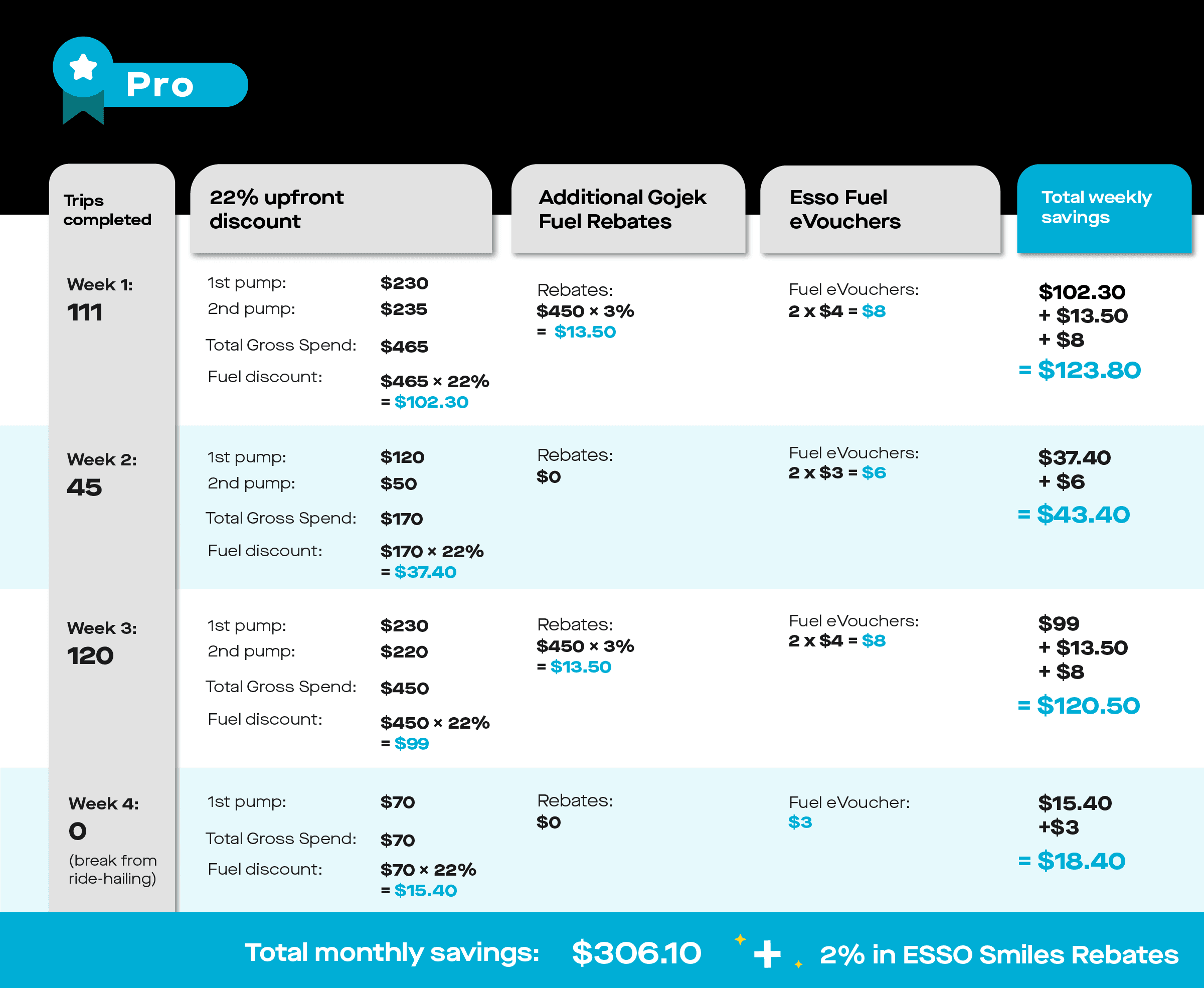 Pro_Summarytable (2).png