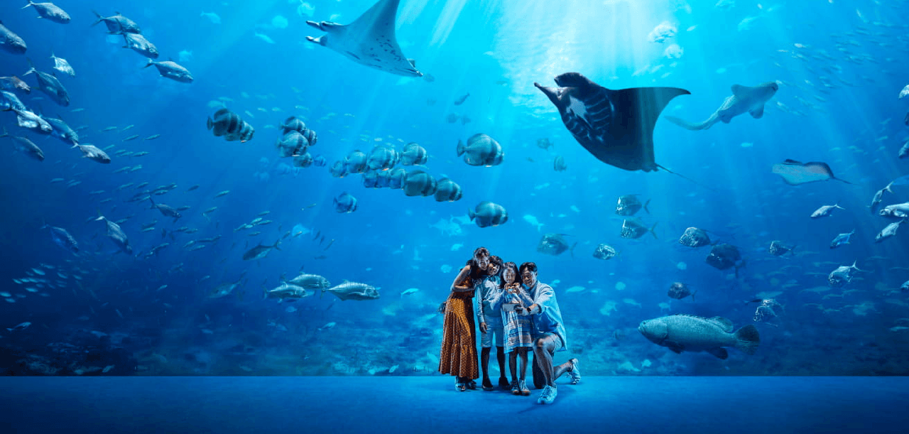 Singapore Oceanarium@2x.png
